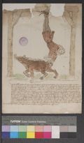 http://images.icar-us.eu/iiif/2/illum%2FIllUrk%2F1471-05-12_Schmaehbrief_HHStA_RHR Antiquiss1-3-200_003.jpg/full/120,/0/default.jpg